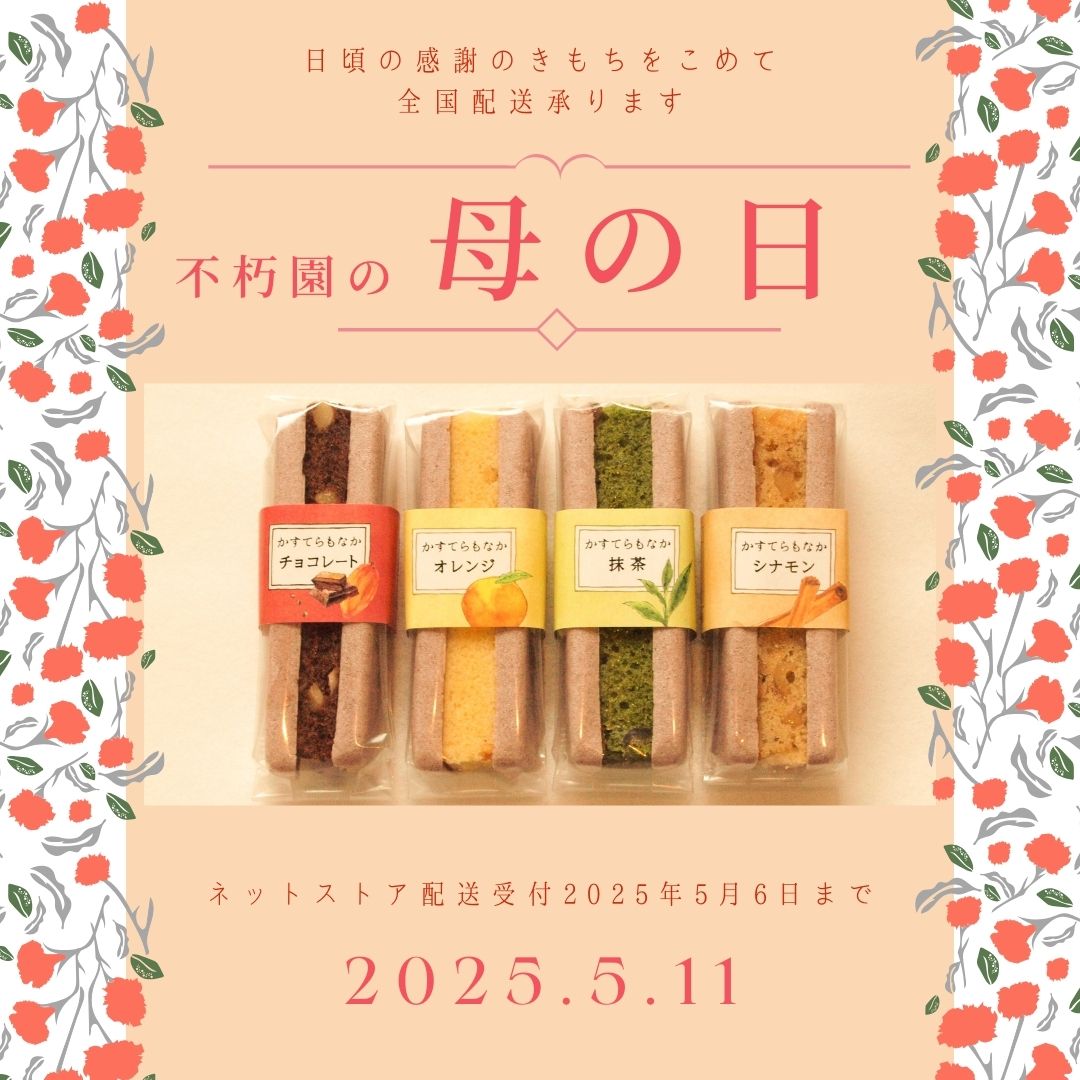 ̓Mtg